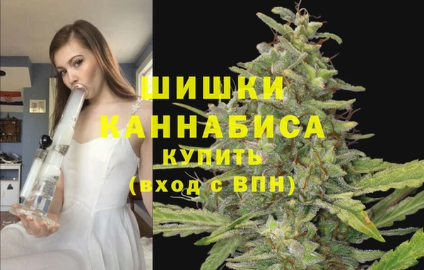 винт Абинск