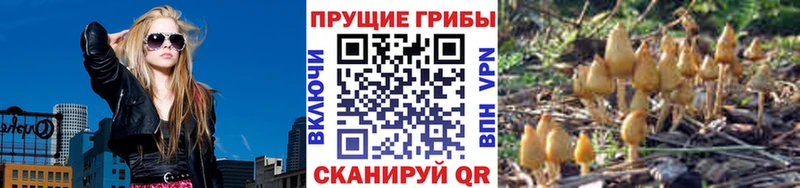 Галлюциногенные грибы Psilocybe  Каменск-Уральский 
